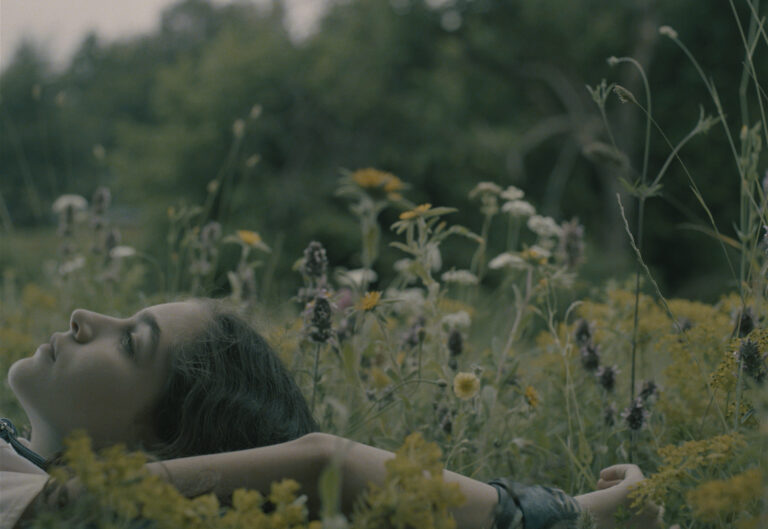 THE FARM / SÜT ÇİFTLİĞİ