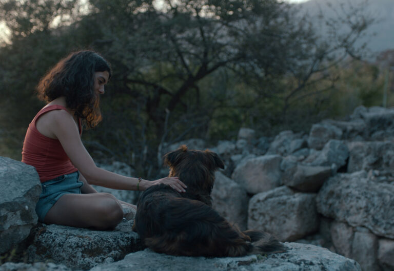 ON THE WATER SURFACE / SUYUN YÜZÜ